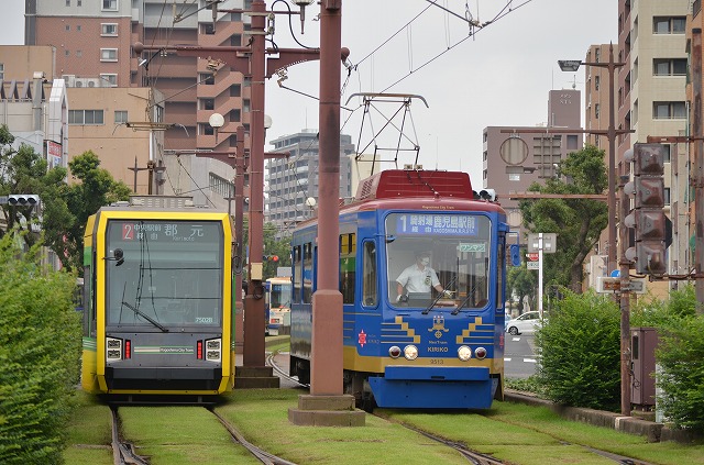 介紹市營電車軌道的綠化工作