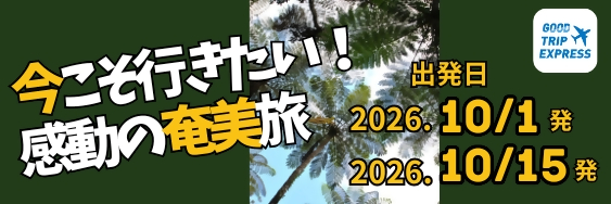 今こそ行きたい！感動の奄美旅